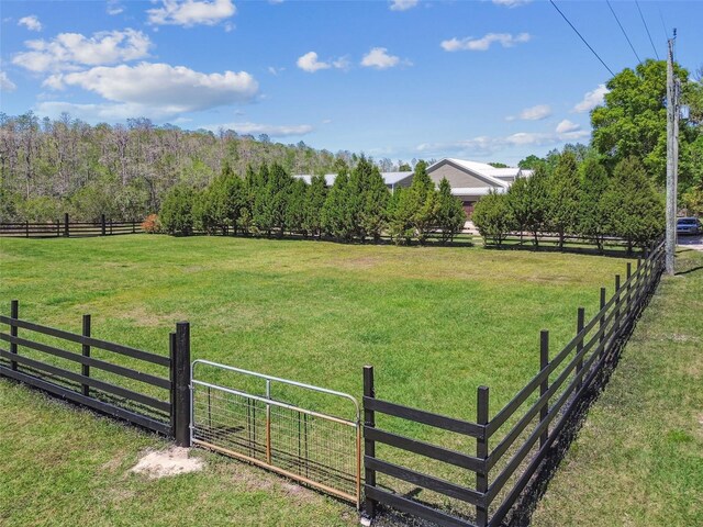 19530 Barrie Acres Trl, Odessa, FL 33556 - photo 85