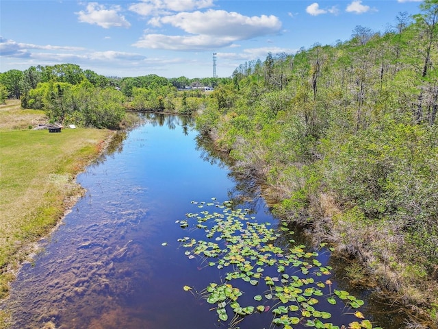19530 Barrie Acres Trl, Odessa, FL 33556 - photo 86