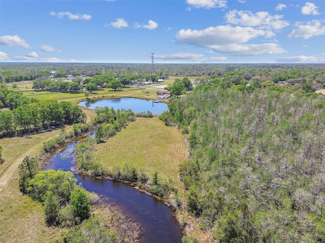 19530 Barrie Acres Trl, Odessa, FL 33556 - photo 87