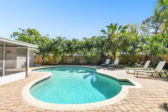 3818 W San Miguel St, Tampa, FL 33629 - view of pool with a fenced backyard, a fenced in pool, and a patio