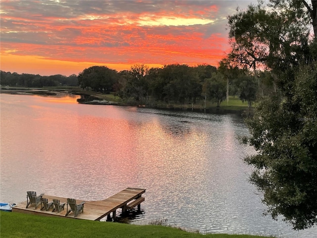 2327 Shirecrest Cove Way, Lutz, FL 33558 - dock with a water view