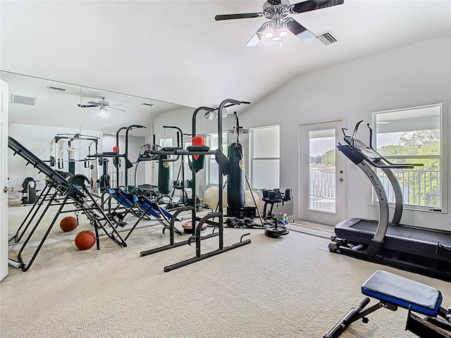 2327 Shirecrest Cove Way, Lutz, FL 33558 - gym with a ceiling fan, vaulted ceiling, healthy amount of natural light, and carpet flooring