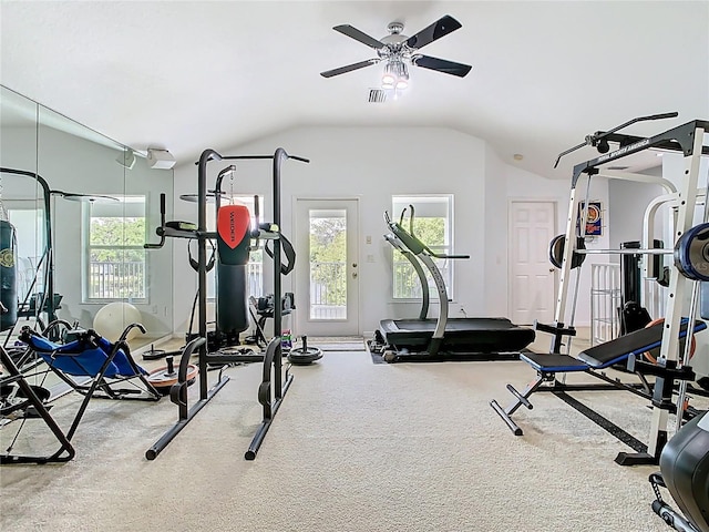 2327 Shirecrest Cove Way, Lutz, FL 33558 - exercise room with lofted ceiling, ceiling fan, plenty of natural light, and carpet flooring