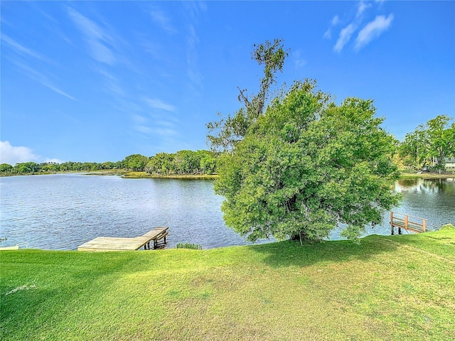 2327 Shirecrest Cove Way, Lutz, FL 33558 - dock area with a water view and a yard