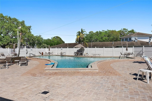 9940 47th Ave N Unit 210, Saint Petersburg, FL 33708 - photo 36