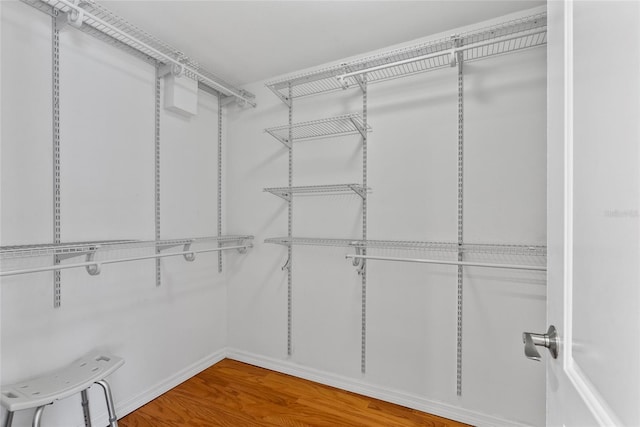705 S W Shore Blvd, Tampa, FL 33609 - photo 26