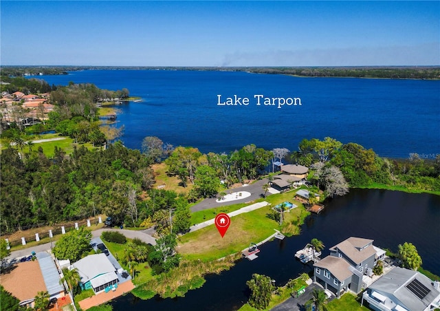4233 Lake Ave, Palm Harbor, FL 34684