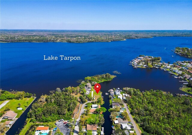 4233 Lake Ave, Palm Harbor, FL 34684
