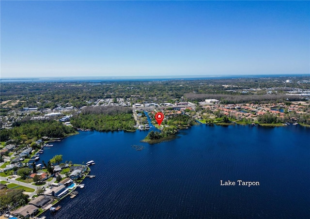 4233 Lake Ave, Palm Harbor, FL 34684