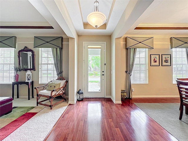 foyer entrance featuring wood finished floors, a tray ceiling, and a wealth of natural light