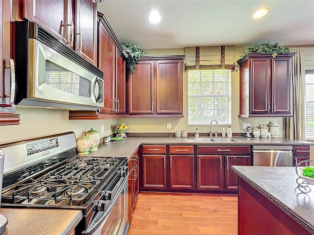 kitchen featuring light wood-style floors, dark brown cabinets, stainless steel appliances, and a sink