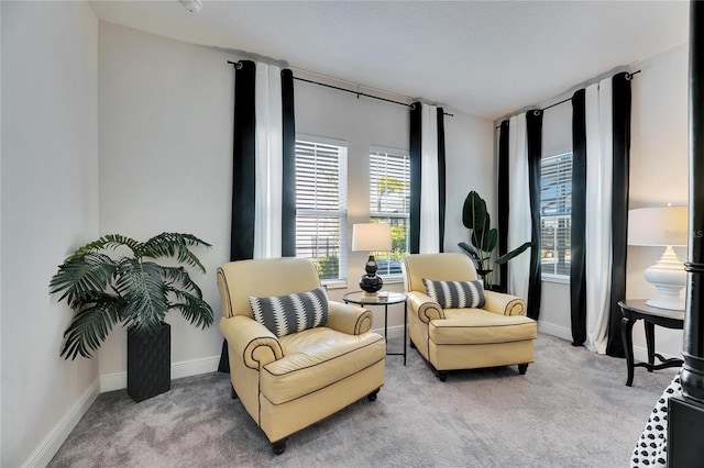 living area featuring baseboards and carpet floors
