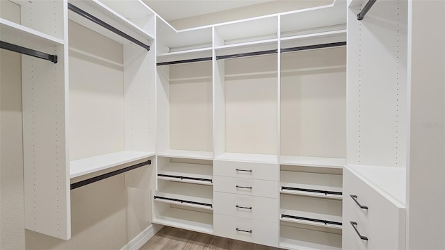 spacious closet with wood finished floors