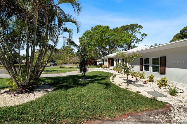 6531 2nd Ave N, Saint Petersburg, FL 33710 - view of yard