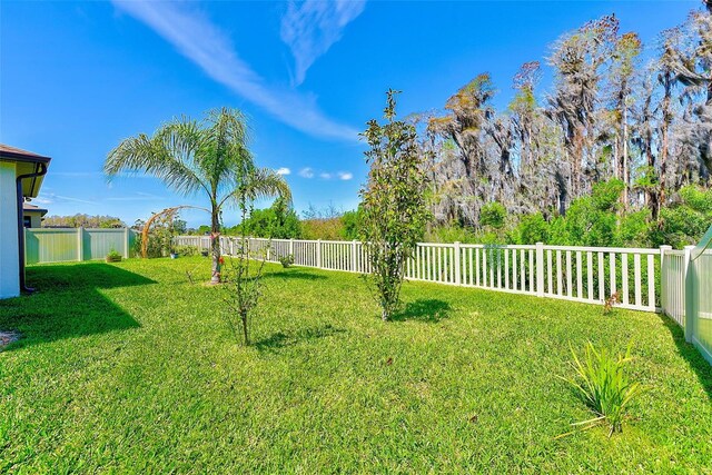 11086 Sundrift Dr, Tampa, FL 33647 - photo 47