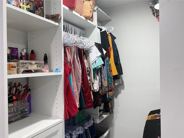 view of walk in closet