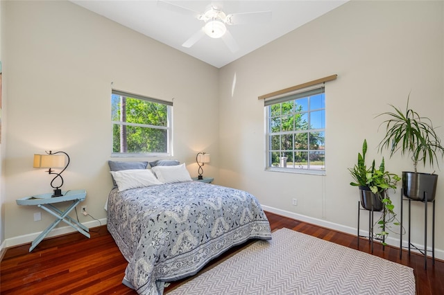 19005 Cour Ests, Lutz, FL 33558 - bedroom with baseboards, wood finished floors, and a ceiling fan