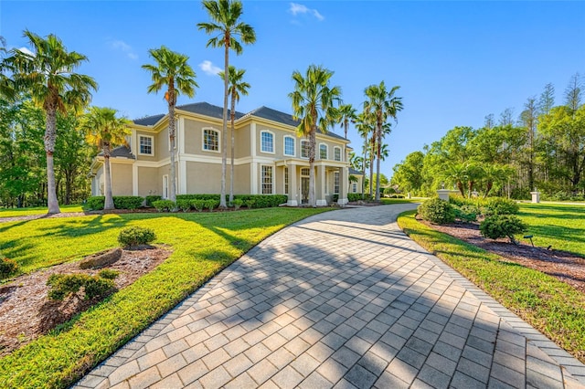 19005 Cour Ests, Lutz, FL 33558 - view of front of home featuring a front lawn and stucco siding