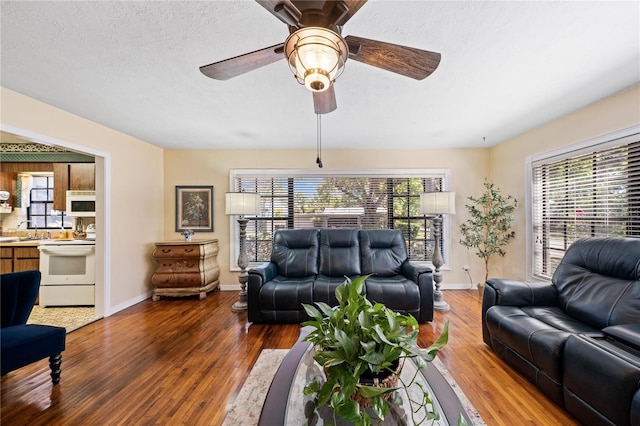 2207 W Ohio Ave, Tampa, FL 33607 - photo 5