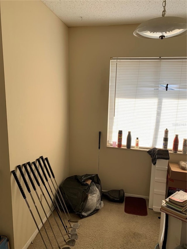 7526 Needle Leaf Pl Unit 30, Tampa, FL 33617 - carpeted bedroom featuring baseboards