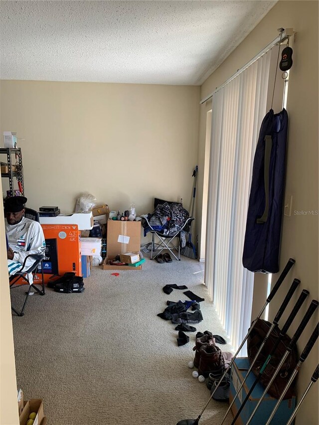7526 Needle Leaf Pl Unit 30, Tampa, FL 33617 - view of storage room