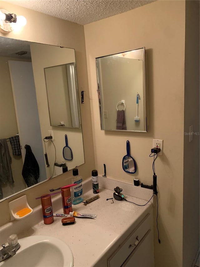 7526 Needle Leaf Pl Unit 30, Tampa, FL 33617 - bathroom with vanity and a textured ceiling