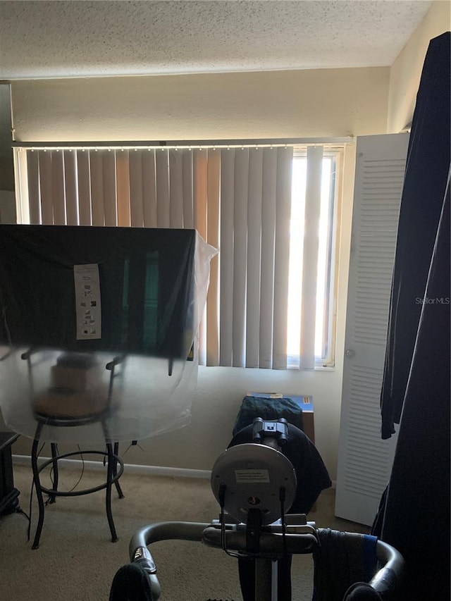 7526 Needle Leaf Pl Unit 30, Tampa, FL 33617 - misc room with a textured ceiling, baseboards, and carpet floors