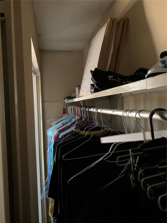 7526 Needle Leaf Pl Unit 30, Tampa, FL 33617 - view of walk in closet