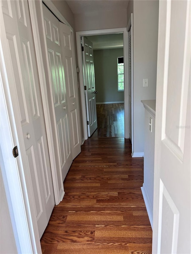 2061 Fiesta Ridge Ct, Tampa, FL 33604 - corridor with baseboards and wood finished floors
