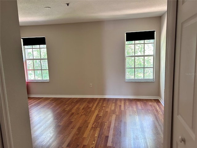 2061 Fiesta Ridge Ct, Tampa, FL 33604 - empty room with wood finished floors, a textured ceiling, and baseboards