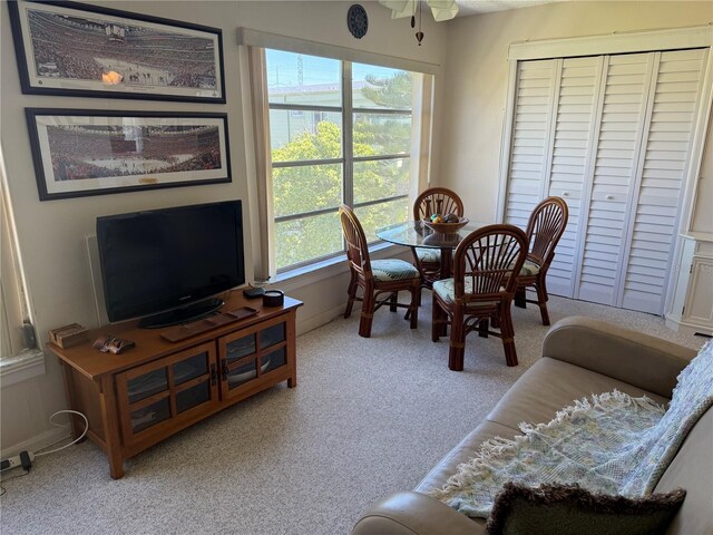 2428 Columbia Dr Unit 72, Clearwater, FL 33763 - photo 25
