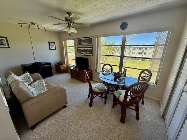 2428 Columbia Dr Unit 72, Clearwater, FL 33763 - photo 26