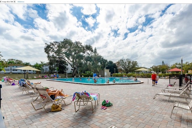 2428 Columbia Dr Unit 72, Clearwater, FL 33763 - photo 36
