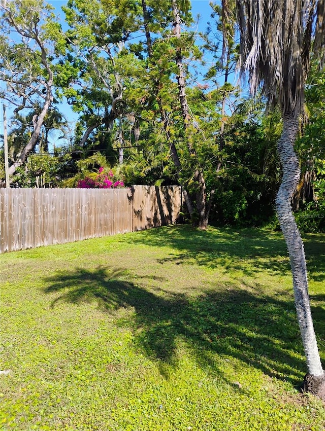11233 51st Ave N, Saint Petersburg, FL 33708 - view of yard with fence