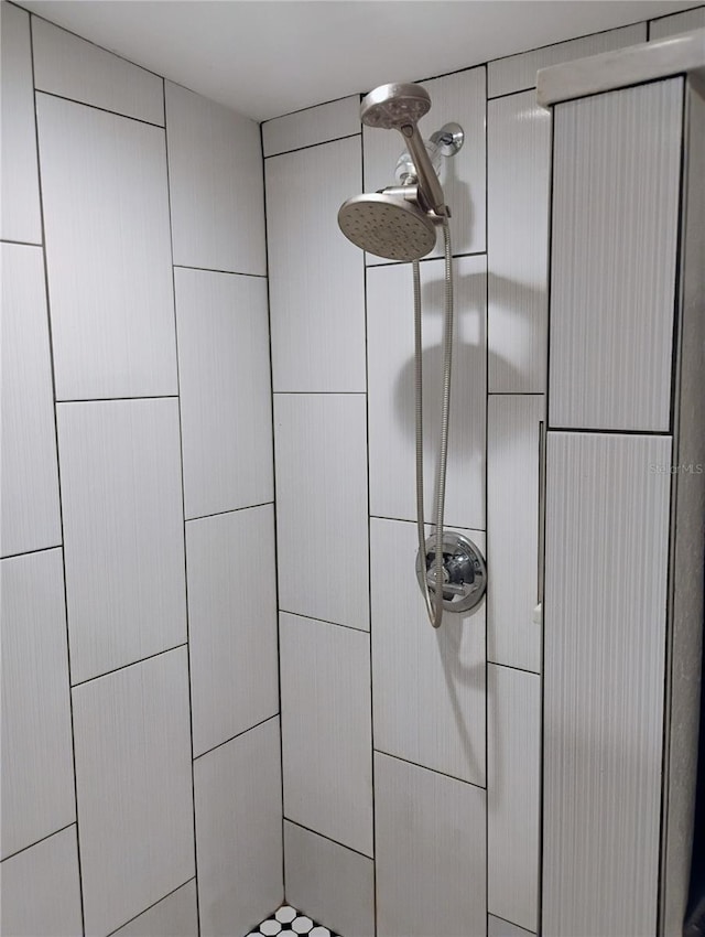 11233 51st Ave N, Saint Petersburg, FL 33708 - details with tiled shower