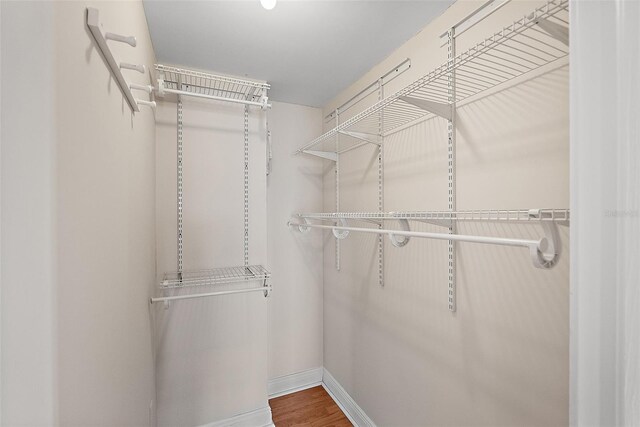 walk in closet featuring wood finished floors