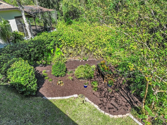 view of yard featuring a vegetable garden