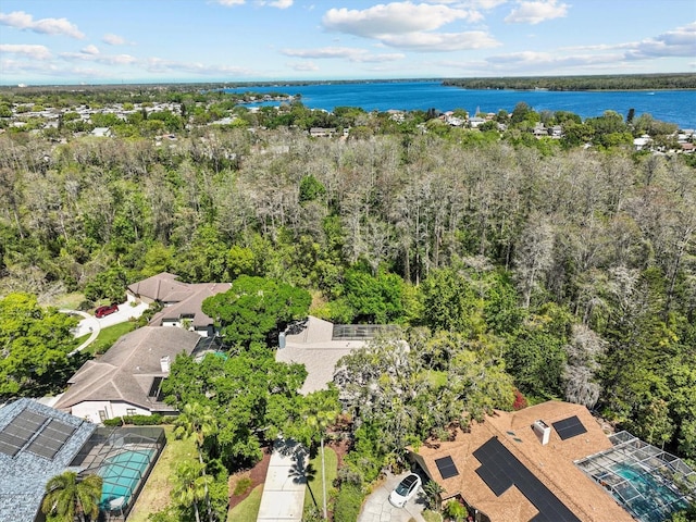 3267 Westcott Ct, Palm Harbor, FL 34684 - photo 53