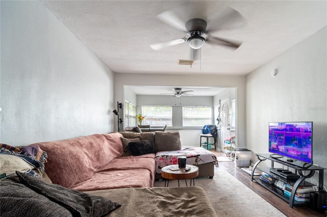 604 Mclennan St, Clearwater, FL 33756 - photo 13