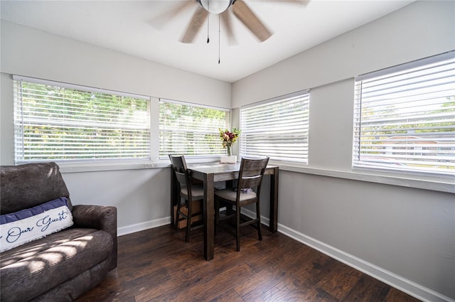 604 Mclennan St, Clearwater, FL 33756 - photo 14