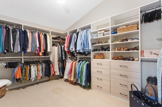 17503 Edinburgh Dr, Tampa, FL 33647 - walk in closet with lofted ceiling and carpet