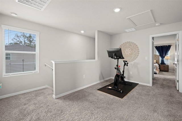 2760 Scarlet Bay Pl, Brandon, FL 33510 - exercise room with a wealth of natural light, baseboards, visible vents, and carpet floors