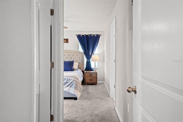 2760 Scarlet Bay Pl, Brandon, FL 33510 - carpeted bedroom with baseboards