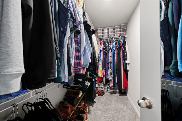 2760 Scarlet Bay Pl, Brandon, FL 33510 - spacious closet with carpet