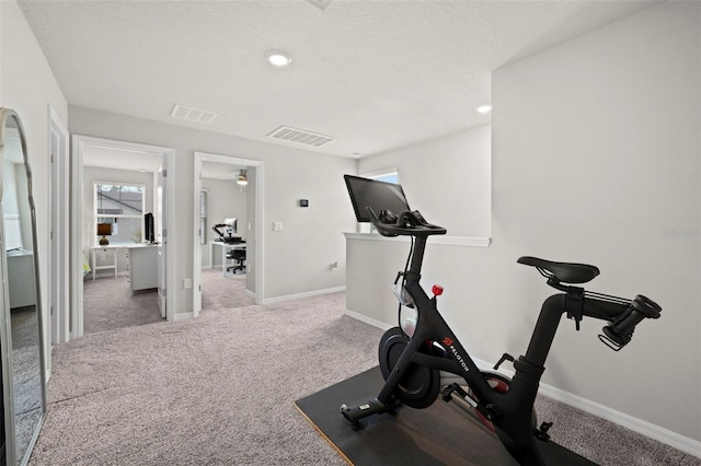 2760 Scarlet Bay Pl, Brandon, FL 33510 - exercise area featuring visible vents, recessed lighting, baseboards, and carpet floors