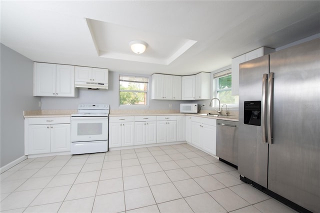 kitchen featuring light countertops, a raised ceiling, appliances with stainless steel finishes, under cabinet range hood, and a healthy amount of sunlight