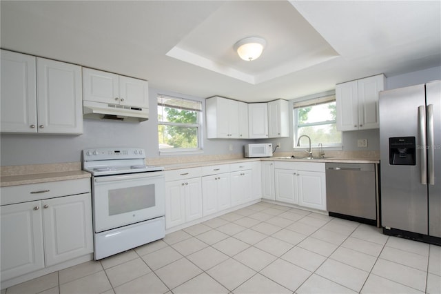 kitchen with a tray ceiling, under cabinet range hood, a sink, and stainless steel appliances
