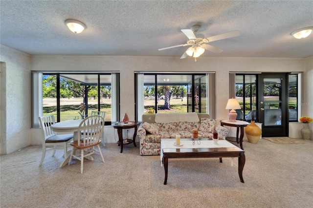 2007 E View Dr, Sun City Center, FL 33573 - living area with a textured ceiling, carpet, a textured wall, and ceiling fan