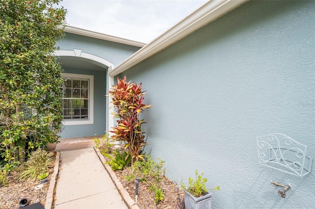 doorway to property featuring stucco siding