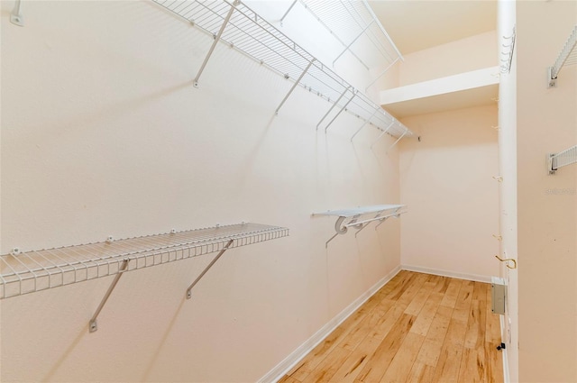 spacious closet with light wood-type flooring